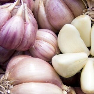 garlic export