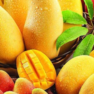 mangoes